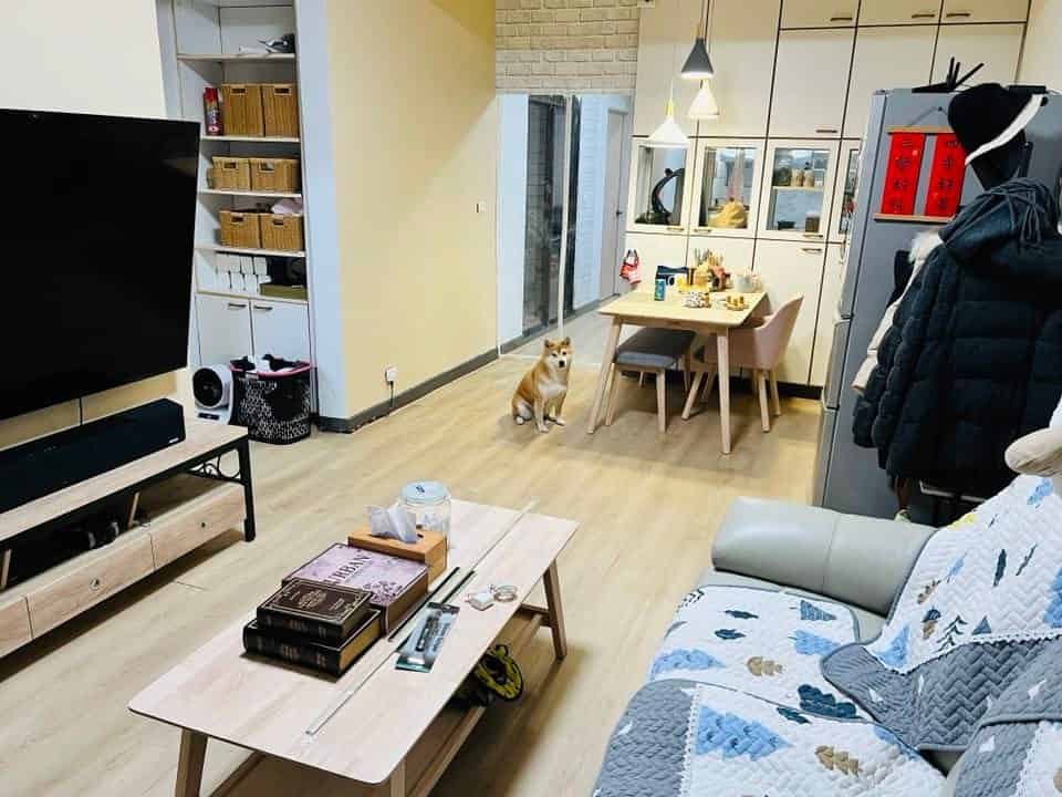 舊公寓升級小秘方，鋪了地板就像新的一樣！老宅改造這樣做！