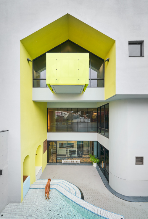 高雄寵物友善「多野樂旅館」毛孩版透明無邊際泳池必打卡