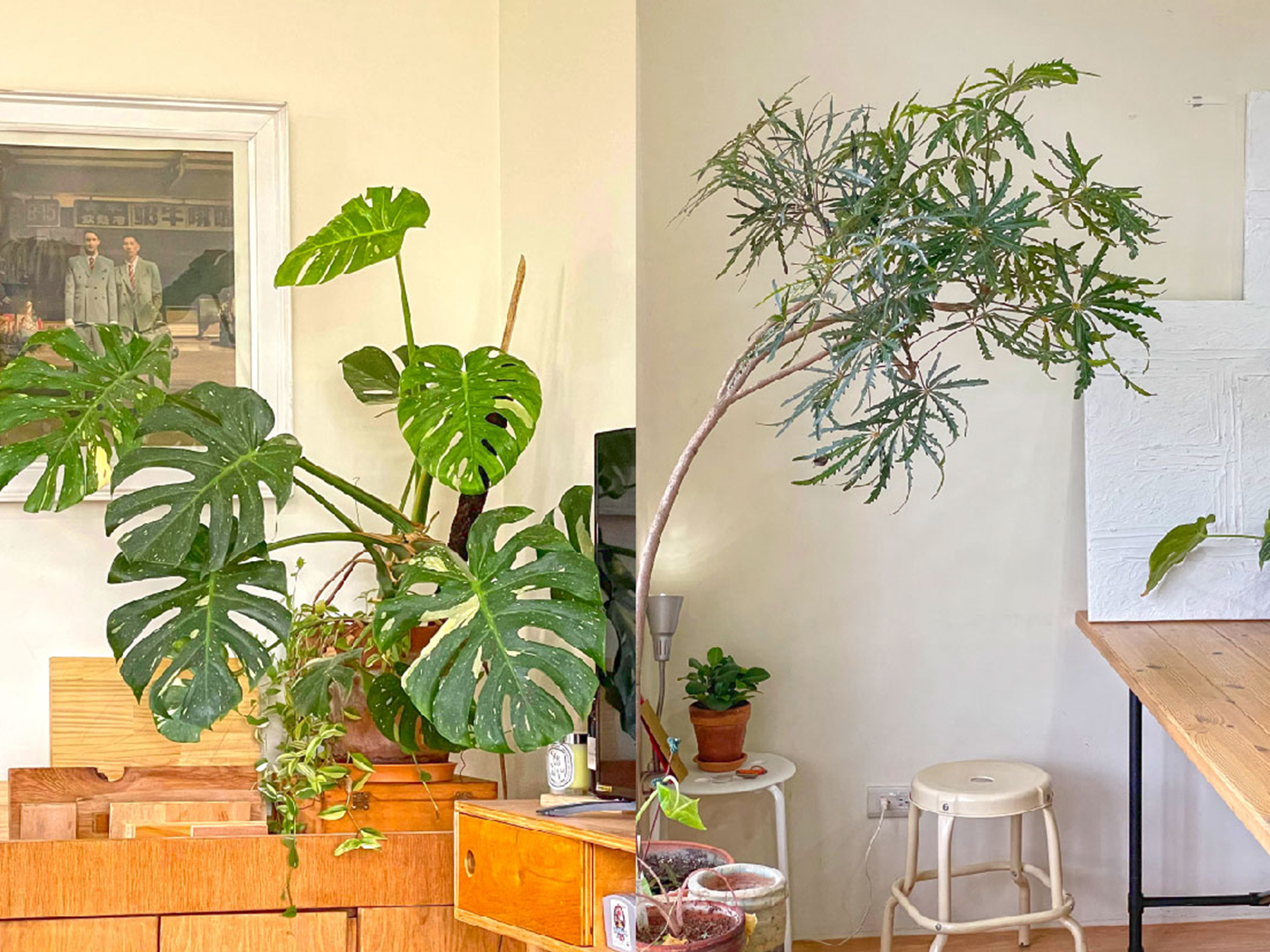 你需要身心靈平衡的家，完整的紓解心中的壓力