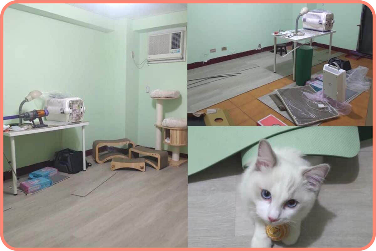 關注將近兩年的歐巴地板，鋪上後整個空間很舒適