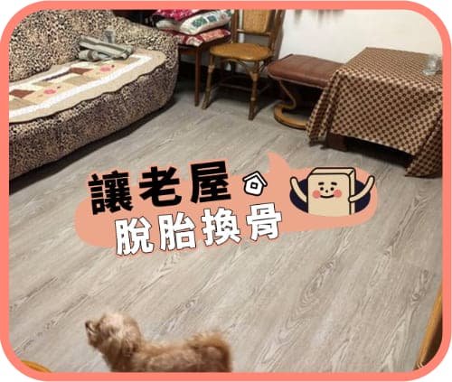讓老屋脫胎換骨｜d粉Q&A