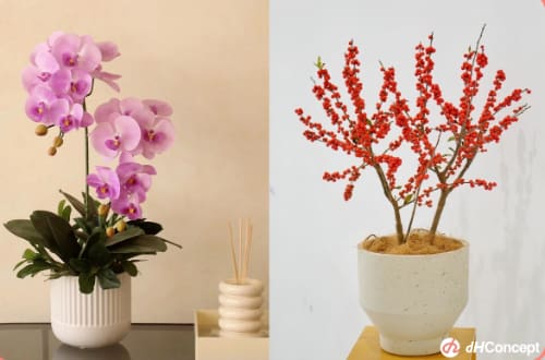 5種新年植物推薦 擺在家中招財又吉利！