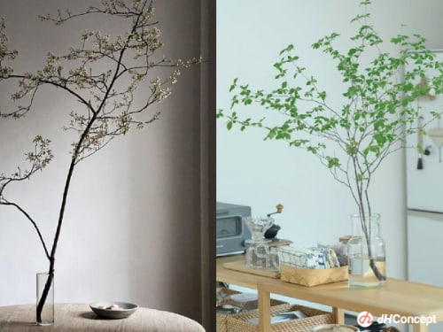 打造仙氣日系空間 只要一株鮮切植物！