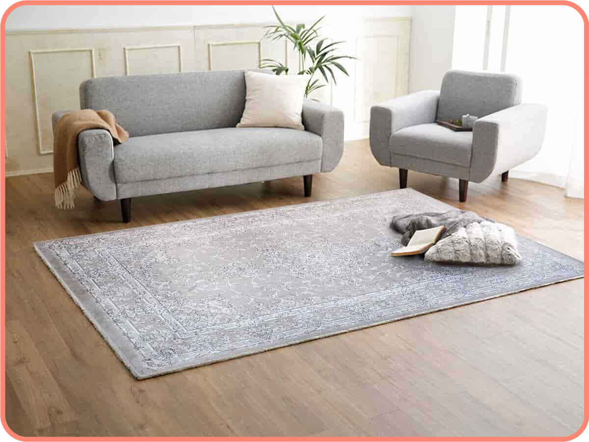 波斯銀灰｜就愛賴著你，比利時編織地毯