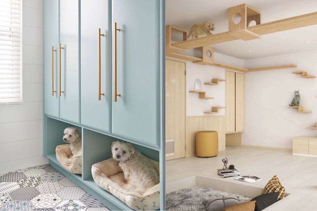 鏟屎官看過來！規劃寵物宅的3個重點讓你們都能舒適宅在家