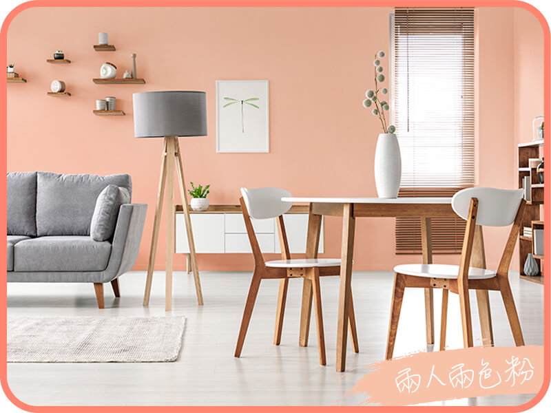 兩人兩色粉｜dH精選乳膠漆