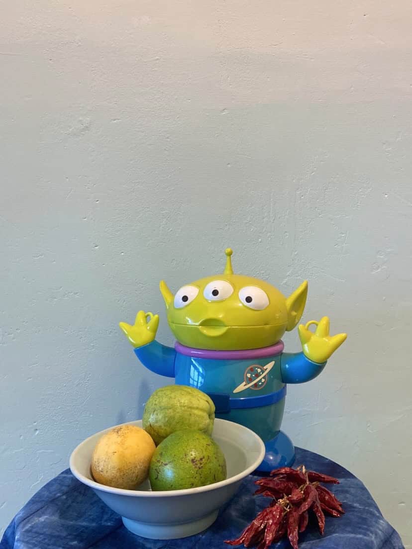 創作者分享 / 美食部落客芝 首次調色打造絕美漸層打卡牆