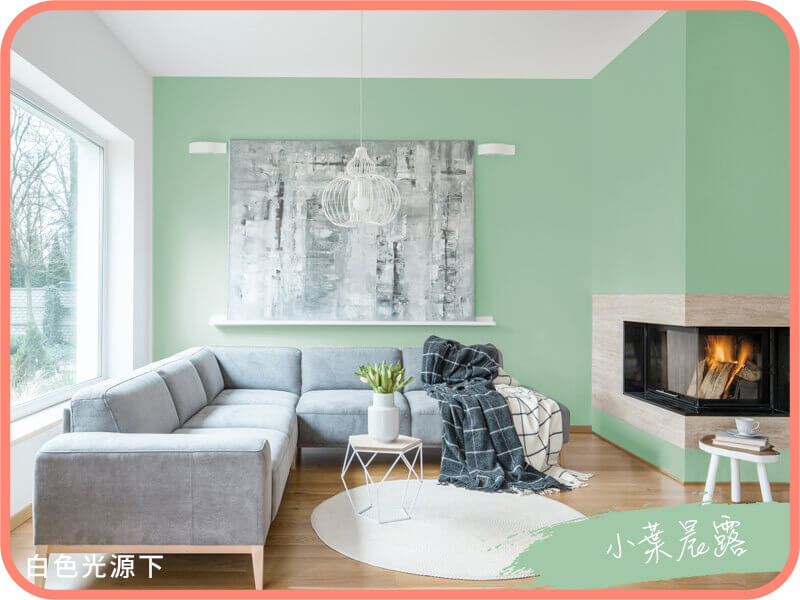 小葉晨露｜dH精選乳膠漆