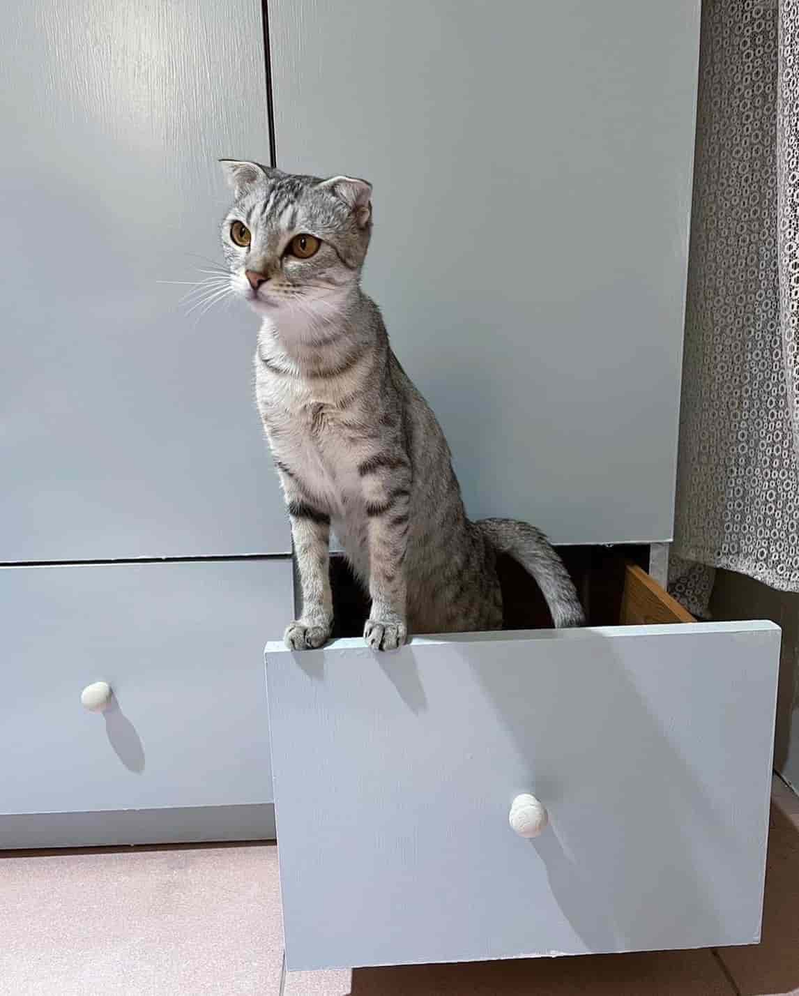 創作者分享 / BiBi 對改造空間改觀 更加珍惜自己體驗後的成品！