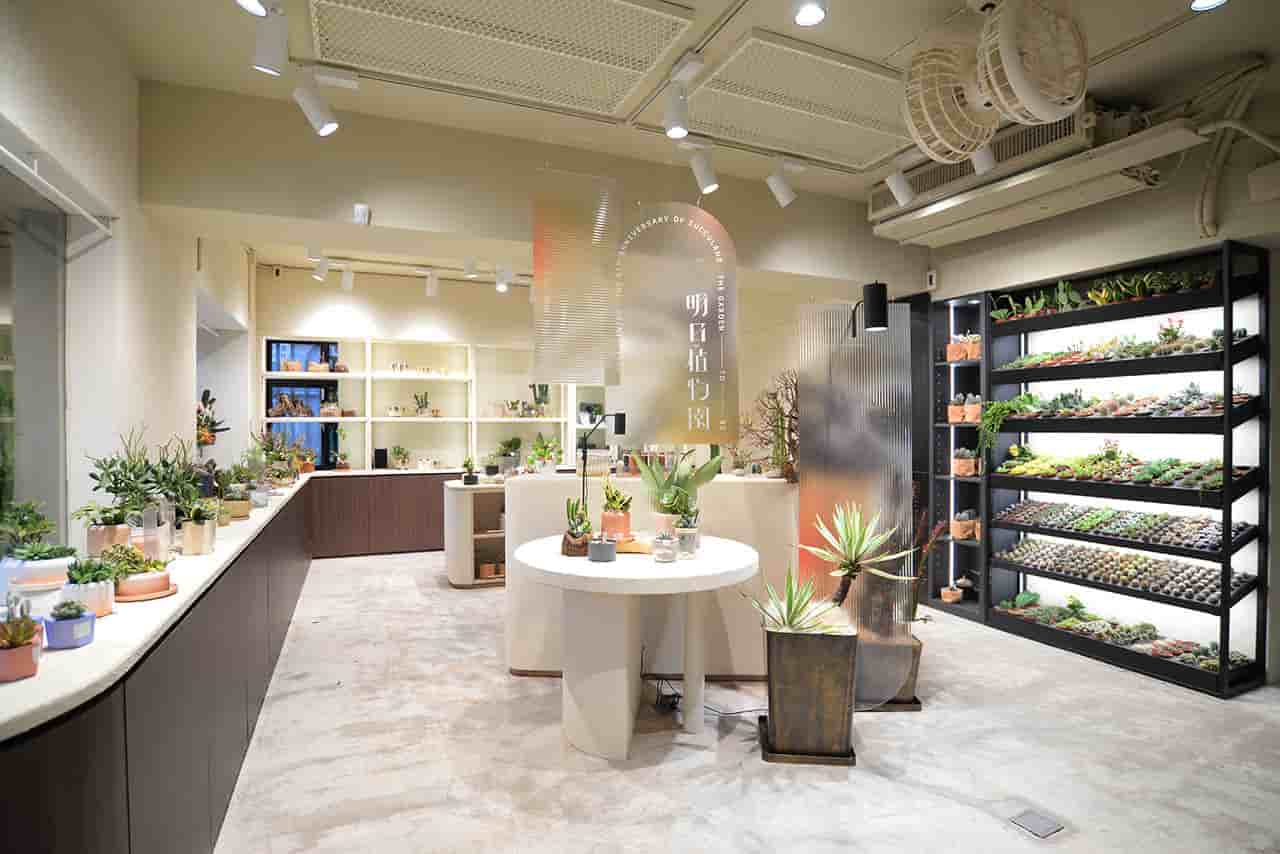 綠植愛好者快收藏！盤點全台8間最美植物店