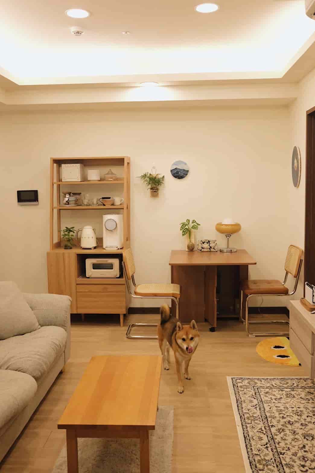 創作者分享 / 俞丁從小培養生活美感 同色系居家佈置整室更協調