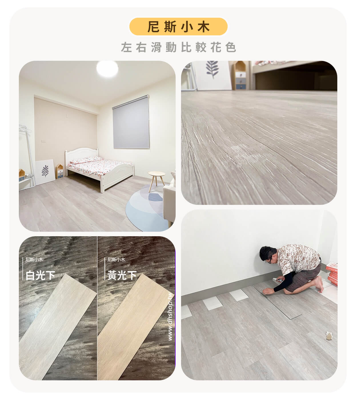 尼斯小木比較圖