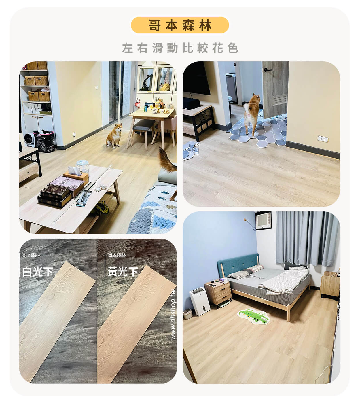 哥本森林比較圖